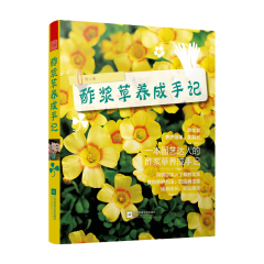 酢浆草养成手记