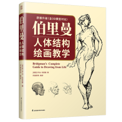 伯里曼人体结构绘画教学