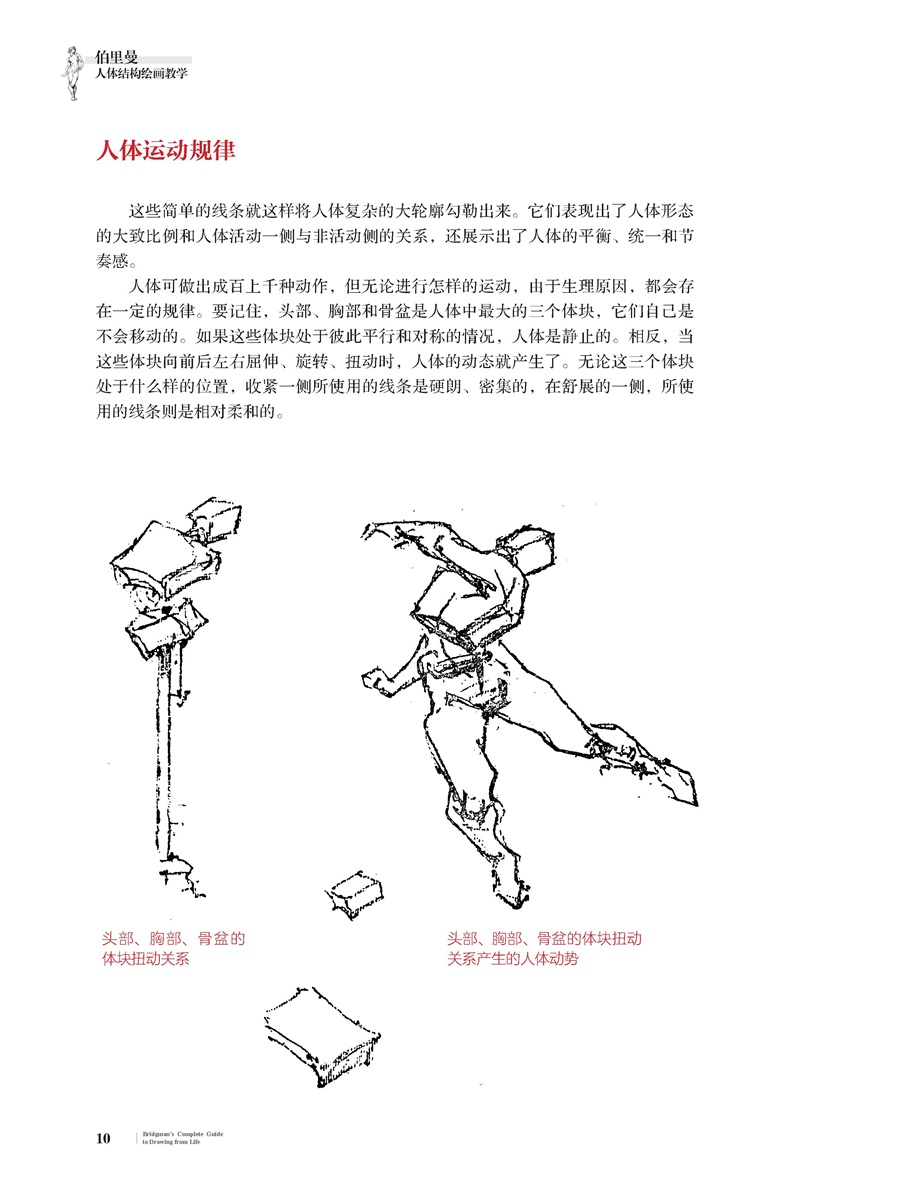 人体结构绘画教学 最新版 Amazon.com: 人体结构原理与绘画教学: 9787115566898: 肖玮春