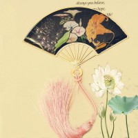 SF-8贝壳扇之百合忘忧