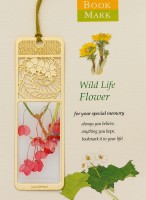 BM-WF12花草之垂丝海棠